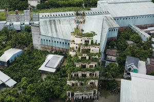 The Haunting Mystery of the Abandoned Six-Story Villa in the Heart of the Mekong Delta - image 2