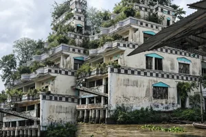 The Haunting Mystery of the Abandoned Six-Story Villa in the Heart of the Mekong Delta - image 4