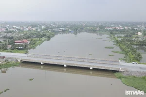 Delayed Coastal Road Project: Hai Phong to Thai Binh Update - image 0