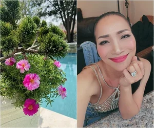 Inside Singer Hong Ngoc's Stunning US Villa and Lush Tropical Garden - image 5