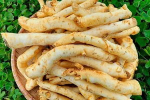 Rare Traditional Delicacies: The Rising Value of Tet Specialty Foods - image 3