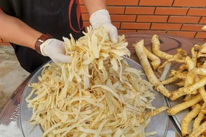 Rare Traditional Delicacies: The Rising Value of Tet Specialty Foods - image 7