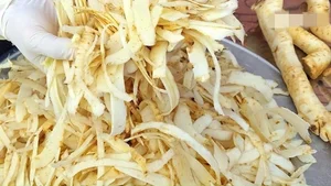 Rare Traditional Delicacies: The Rising Value of Tet Specialty Foods - image 0