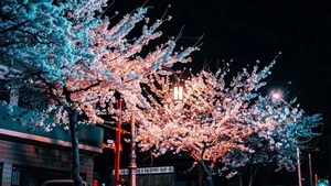 Stunning Korea: 99+ Full HD Images Capturing the Essence of Korean Beauty - image 84