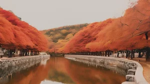 Stunning Korea: 99+ Full HD Images Capturing the Essence of Korean Beauty - image 17