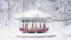 Stunning Korea: 99+ Full HD Images Capturing the Essence of Korean Beauty - image 7