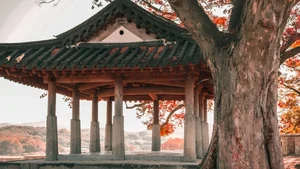 Stunning Korea: 99+ Full HD Images Capturing the Essence of Korean Beauty - image 81