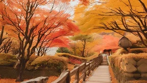 Stunning Korea: 99+ Full HD Images Capturing the Essence of Korean Beauty - image 96