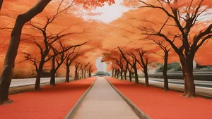 Stunning Korea: 99+ Full HD Images Capturing the Essence of Korean Beauty - image 54