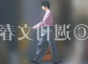 Inside the Secret 5-Year Relationship: Popular Korean Actress and Actor Reportedly Living Together in Private - image 5