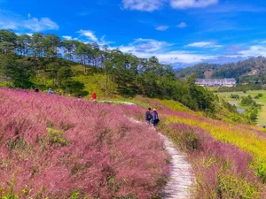 Beautiful Da Lat Wallpapers: Best Full HD Backgrounds for Laptop and PC - image 0