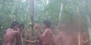 Inside the Lives of Brazil's Most Isolated and Mysterious Tribes - image 1