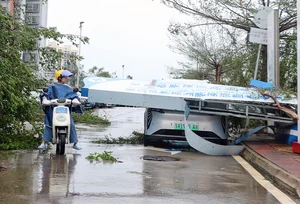 Hainan Island in Ruins: The Devastating Aftermath of Super Typhoon Yagi - image 0