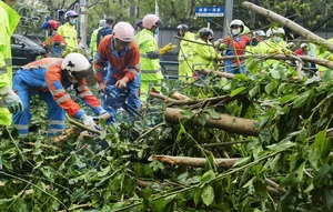 Hainan Island in Ruins: The Devastating Aftermath of Super Typhoon Yagi - image 6