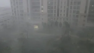 Hainan Island in Ruins: The Devastating Aftermath of Super Typhoon Yagi - image 4