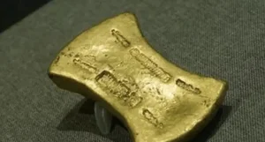 Cliffside Weeding Leads to Accidental Discovery of Ancient Gold Treasure - image 3
