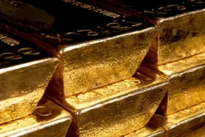 Cliffside Weeding Leads to Accidental Discovery of Ancient Gold Treasure - image 4