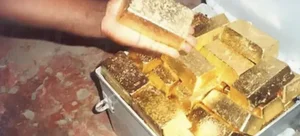 Cliffside Weeding Leads to Accidental Discovery of Ancient Gold Treasure - image 0
