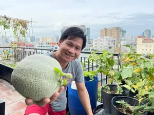 Inside Singer Trong Tan's Bountiful Rooftop Garden Oasis - image 5