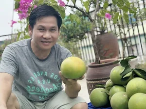 Inside Singer Trong Tan's Bountiful Rooftop Garden Oasis - image 4