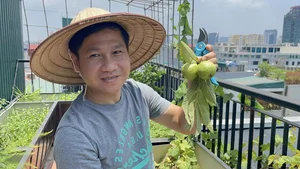 Inside Singer Trong Tan's Bountiful Rooftop Garden Oasis - image 0