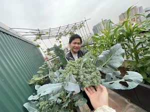 Inside Singer Trong Tan's Bountiful Rooftop Garden Oasis - image 1