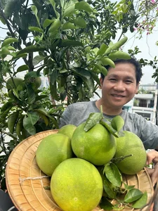 Inside Singer Trong Tan's Bountiful Rooftop Garden Oasis - image 3