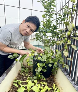 Inside Singer Trong Tan's Bountiful Rooftop Garden Oasis - image 9