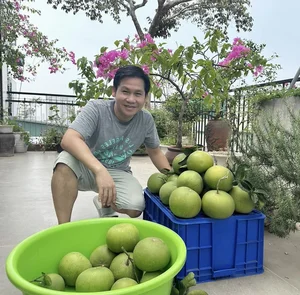 Inside Singer Trong Tan's Bountiful Rooftop Garden Oasis - image 7