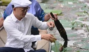 Nét văn hóa độc đáo của trà sen xứ Huế - image 3