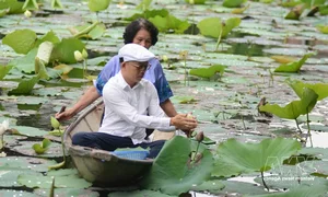 Nét văn hóa độc đáo của trà sen xứ Huế - image 10