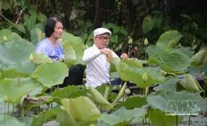 Nét văn hóa độc đáo của trà sen xứ Huế - image 2
