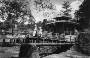 Historical Beauty of Prenn Waterfall in Da Lat a Century Ago - image 5