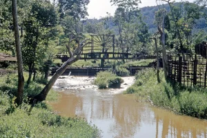 Historical Beauty of Prenn Waterfall in Da Lat a Century Ago - image 2
