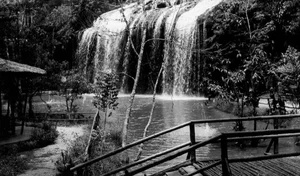 Historical Beauty of Prenn Waterfall in Da Lat a Century Ago - image 1