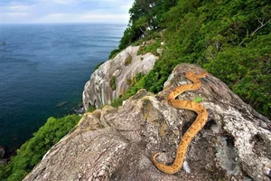 8 of the Most Terrifying and Haunted Places Around the World - image 5