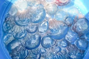 Exploring Nuốc Xanh: The Unique Blue Jellyfish Sashimi of Hue - A Summer Delicacy - image 3