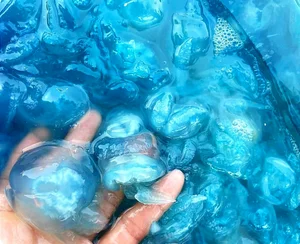 Exploring Nuốc Xanh: The Unique Blue Jellyfish Sashimi of Hue - A Summer Delicacy - image 1