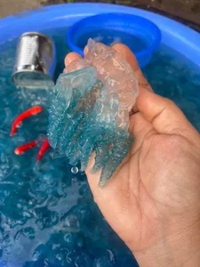 Exploring Nuốc Xanh: The Unique Blue Jellyfish Sashimi of Hue - A Summer Delicacy - image 7
