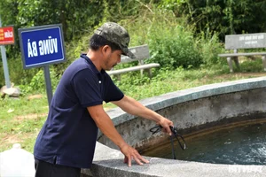 Discover the Unique Boiling Hot Spring Steaming Day and Night in Quang Nam - image 6