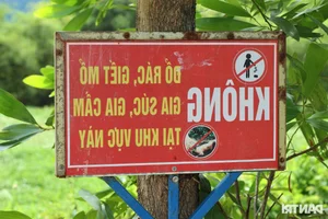 Discover the Unique Boiling Hot Spring Steaming Day and Night in Quang Nam - image 0