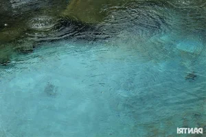 Discover the Unique Boiling Hot Spring Steaming Day and Night in Quang Nam - image 2