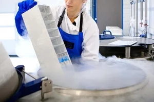 Scientific Breakthrough: Researchers Successfully Restore Frozen Mouse Brain Function - image 4