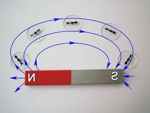 The Science of Attraction: 8 Fascinating Facts About Permanent Magnets - image 6