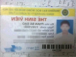 Unique Birth Names in Vietnam: Stories of Identity and Humor - image 5