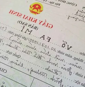 Unique Birth Names in Vietnam: Stories of Identity and Humor - image 1