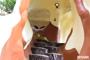 Inside the Crazy House: Da Lat's Most Bizarre and Unique Villa - image 6