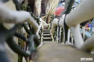 Inside the Crazy House: Da Lat's Most Bizarre and Unique Villa - image 1