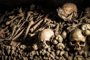 Haunting Secrets of the Paris Catacombs: A Journey Beneath the City - image 3