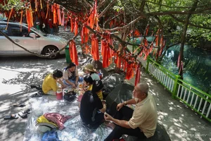 Discover Ho Chi Minh City's Century-Old Wishing Tree Attracting Thousands of Tet Visitors - image 4